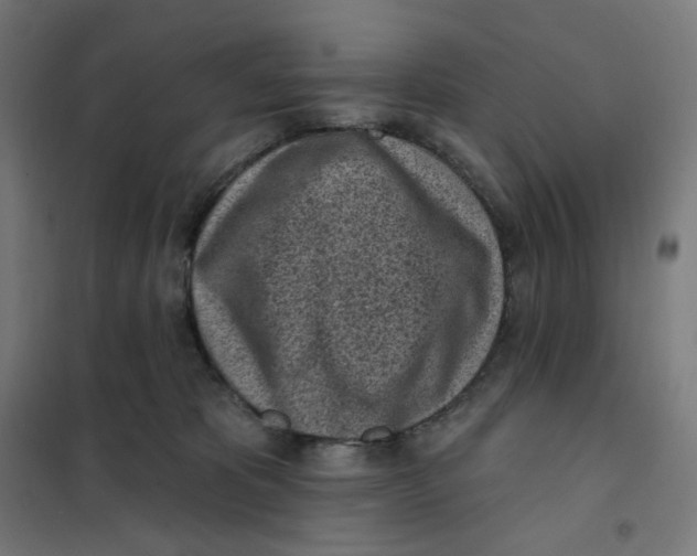 X0000101230325200807251140