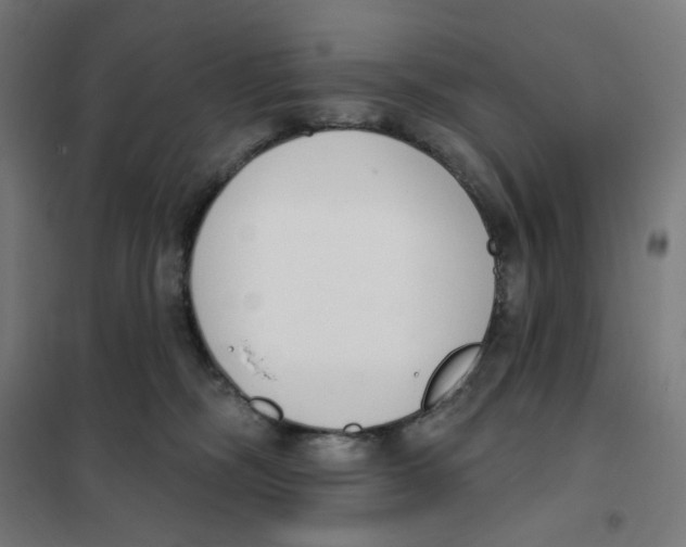 X0000101230326200807251140