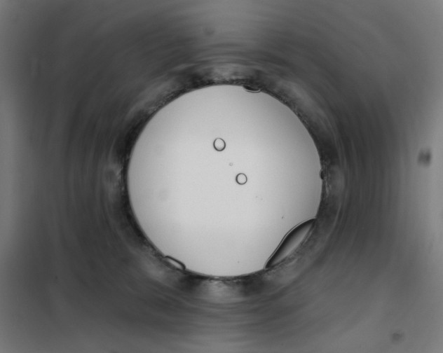 X0000101230327200807251140