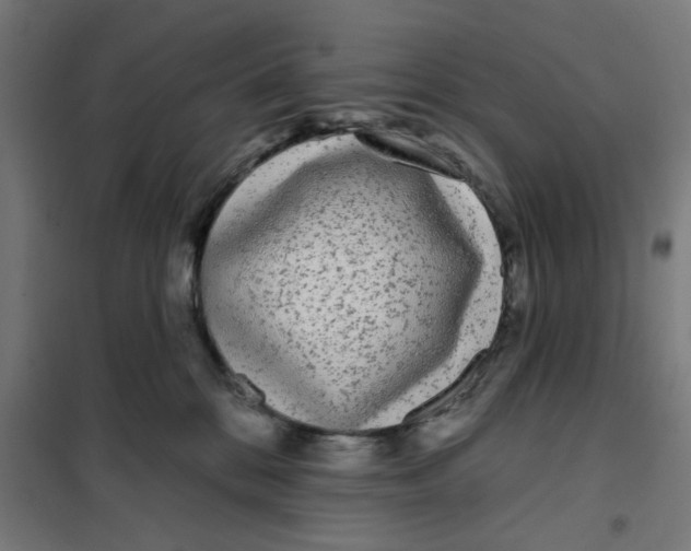 X0000101230328200807251140