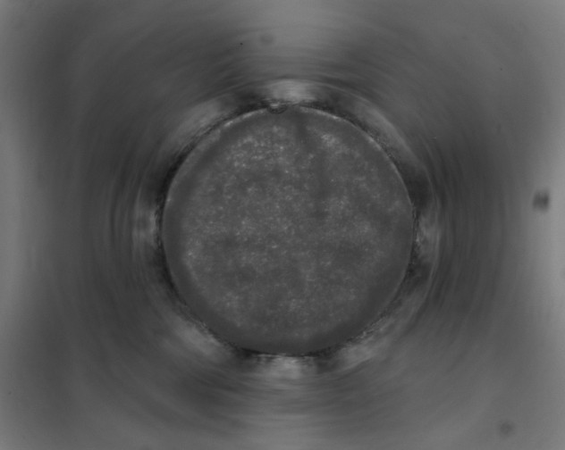X0000101230330200807251140