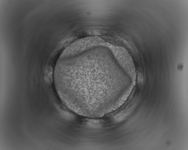 X0000101230332200807251140
