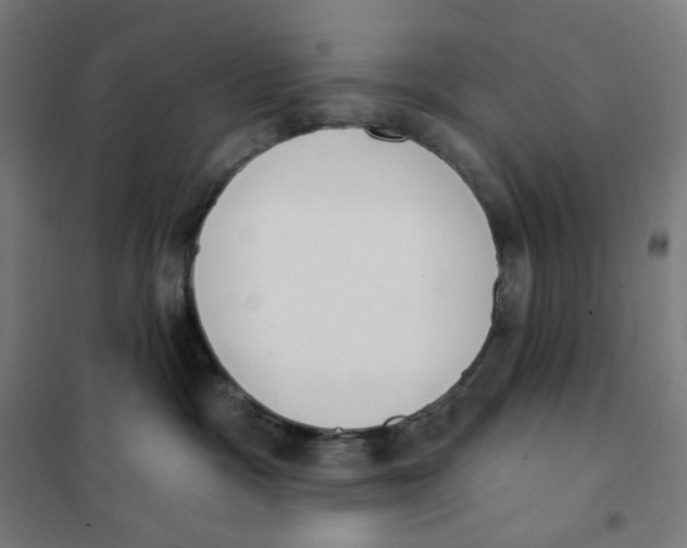 X0000101230333200807251140