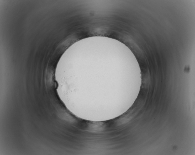 X0000101230334200807251140