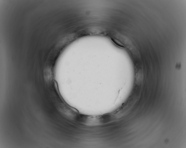 X0000101230335200807251140