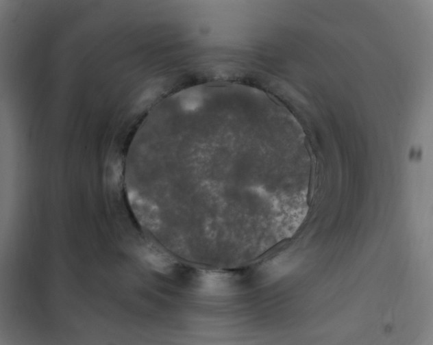 X0000101230336200807251140