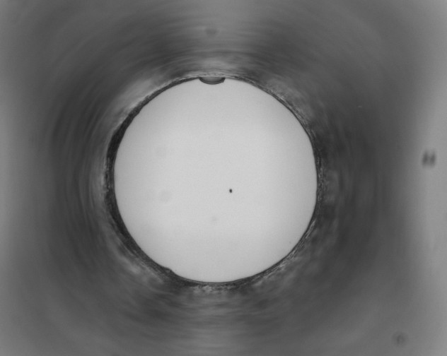 X0000101230338200807251139