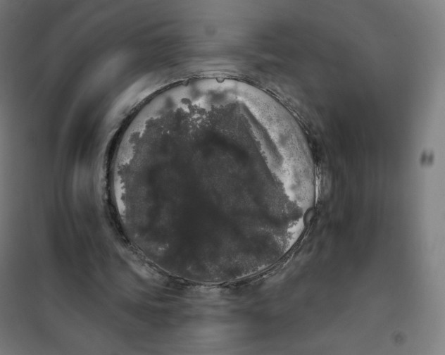 X0000101230339200807251139