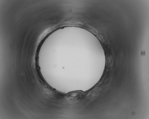 X0000101230340200807251139