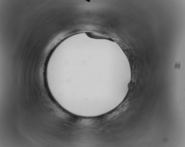 X0000101230341200807251139