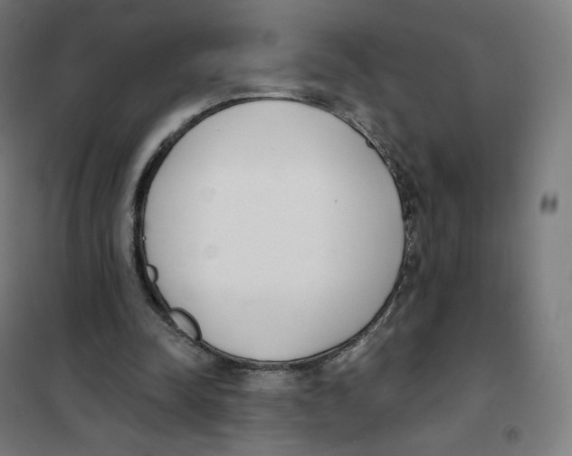 X0000101230342200807251139