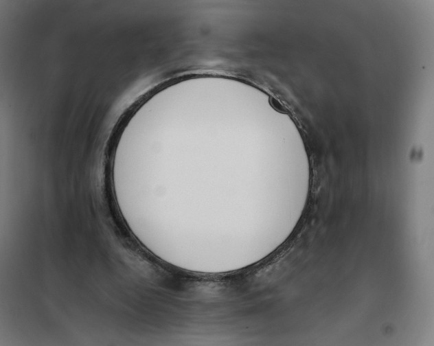 X0000101230344200807251139