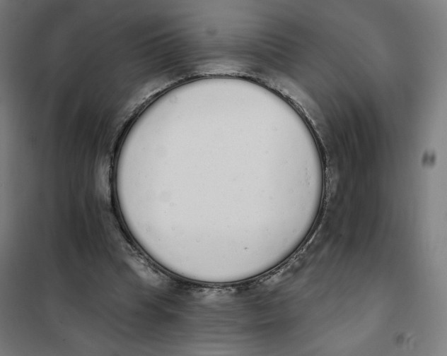 X0000101230345200807251139