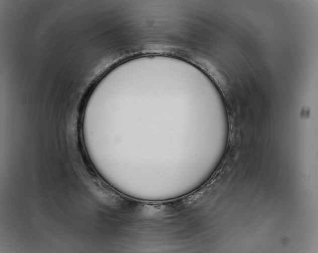X0000101230346200807251139