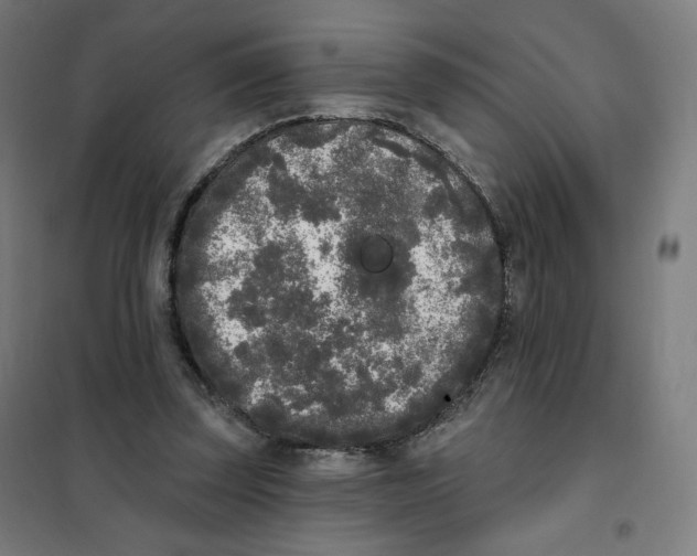 X0000101230347200807251139