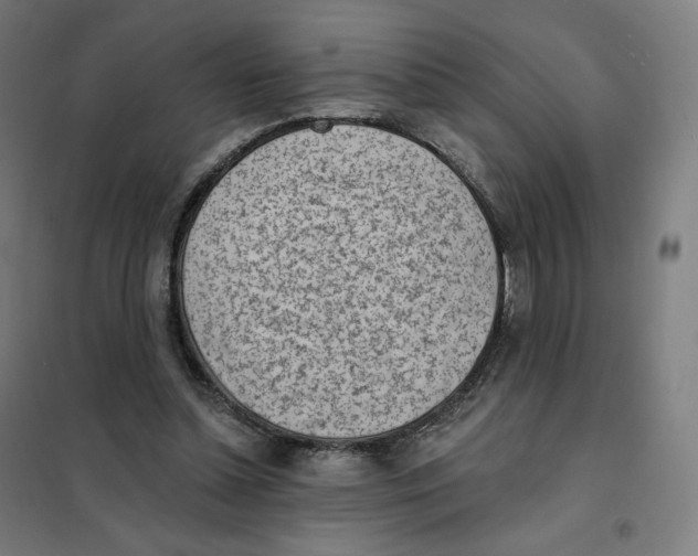 X0000101230348200807251139