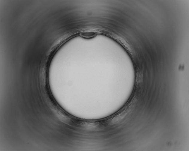 X0000101230349200807251139