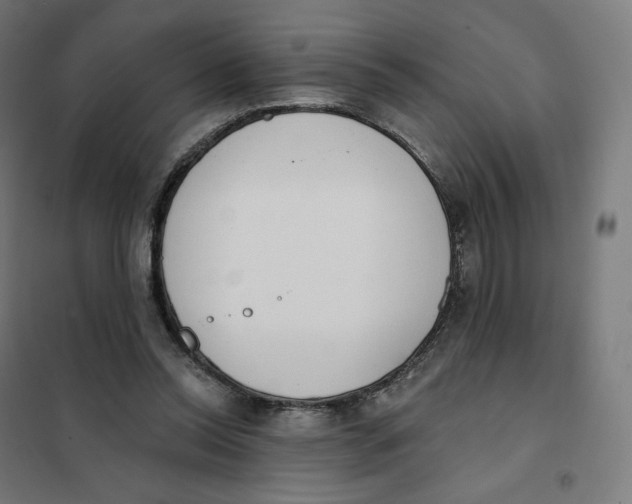 X0000101230350200807251139