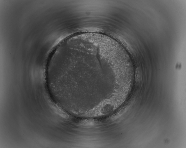 X0000101230351200807251139