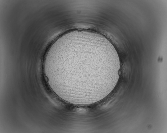 X0000101230352200807251139