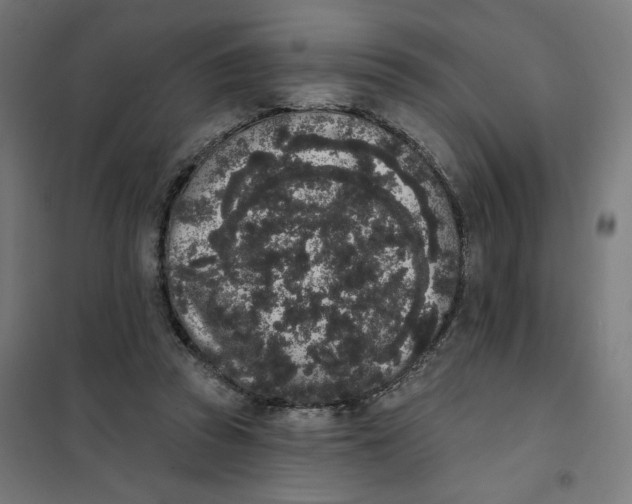 X0000101230353200807251139
