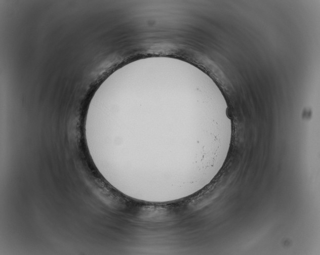 X0000101230354200807251139