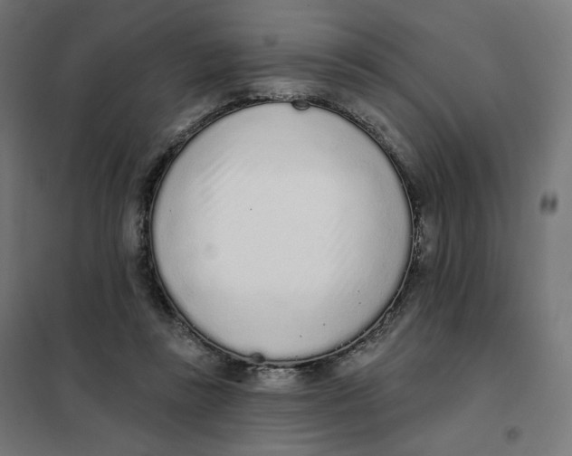X0000101230355200807251139