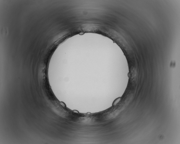 X0000101230356200807251139
