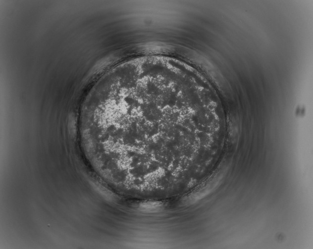 X0000101230357200807251139