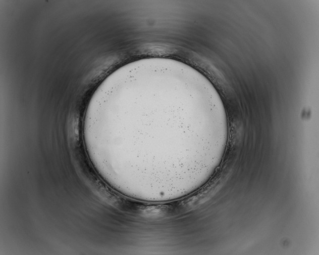 X0000101230358200807251139