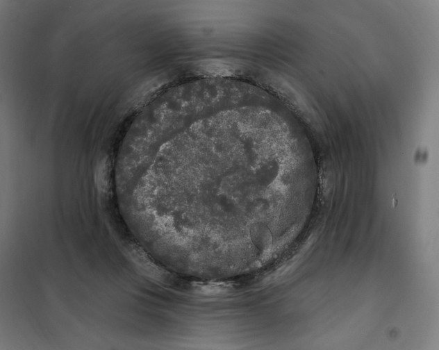 X0000101230359200807251139