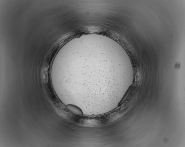 X0000101230360200807251139