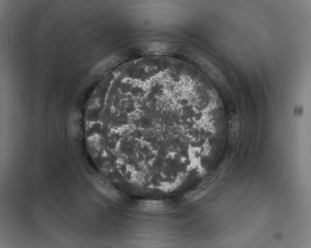 X0000101230361200807251139