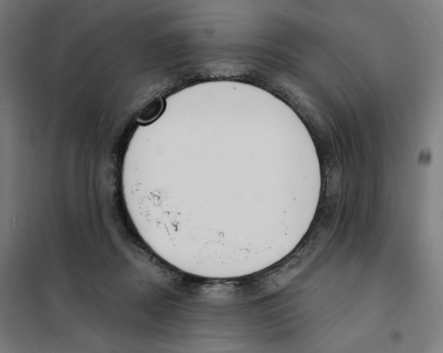 X0000101230362200807251139