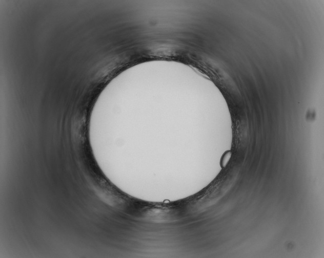 X0000101230364200807251139