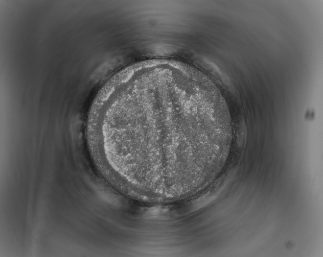 X0000101230366200807251139