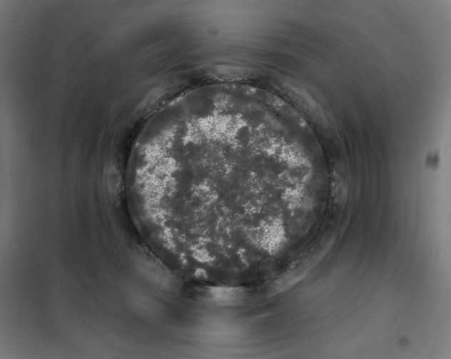 X0000101230371200807251140