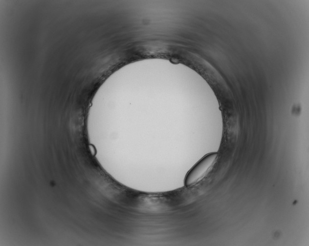 X0000101230372200807251140