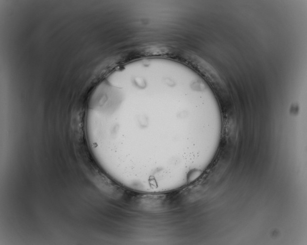 X0000101230373200807251140