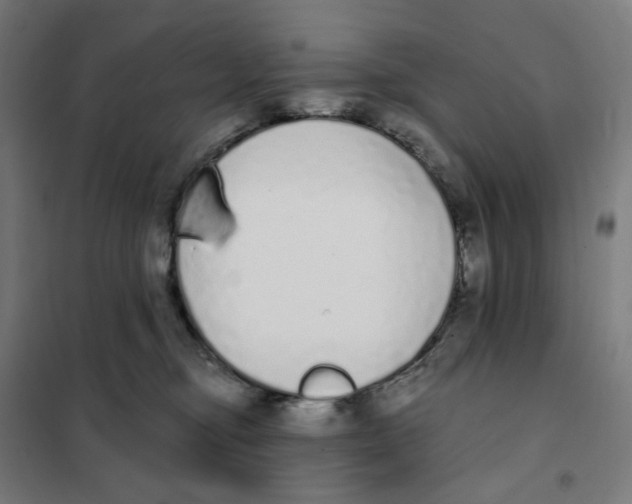 X0000101230374200807251140