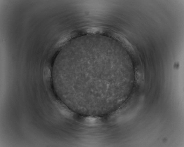 X0000101230375200807251140