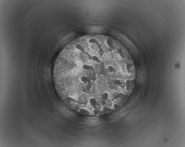 X0000101230377200807251140