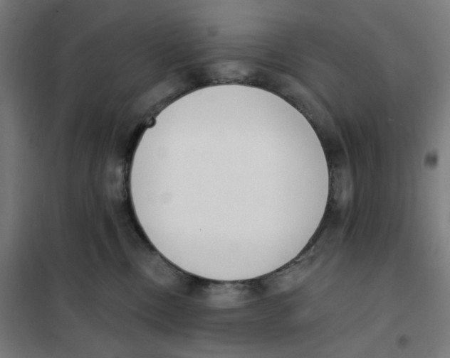X0000101230378200807251140