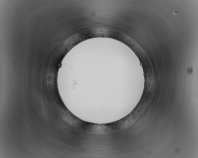 X0000101230379200807251140