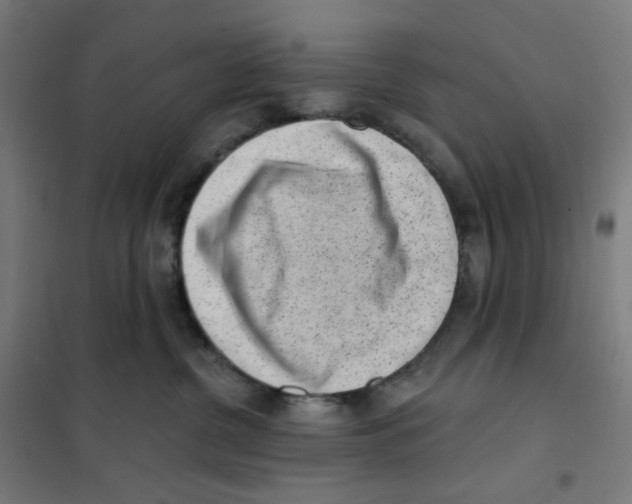 X0000101230380200807251140