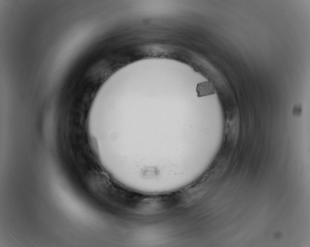 X0000101230381200807251140