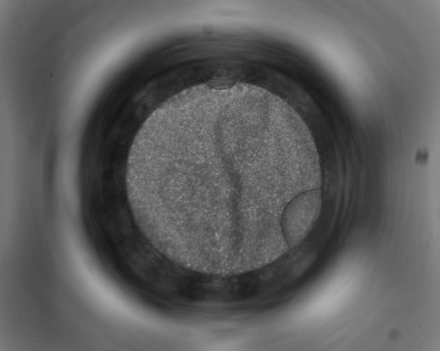 X0000101230383200807251140