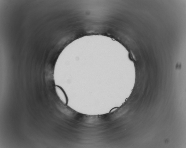 X0000101230384200807251140