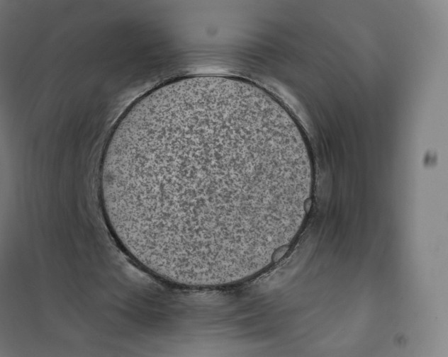 X0000101230385200807251139