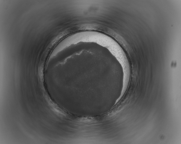 X0000101230386200807251139